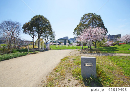 志井公園 志井公園 65019498