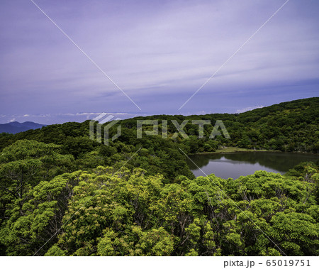 （静岡県）天城の八丁池、南アルプス遠望 65019751