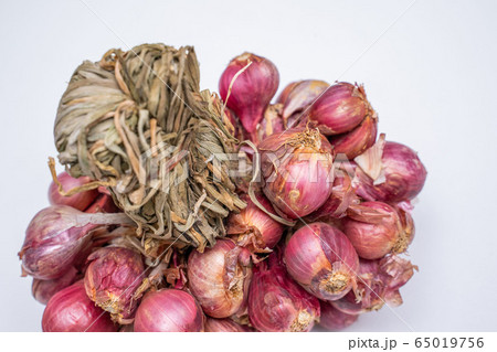 shallots red onion Thai herb for ingredient 65019756