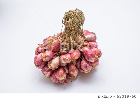 shallots red onion Thai herb for ingredient shallots red onion Thai herb for ingredient 65019760