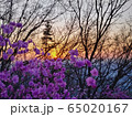 雪峰公園 65020167
