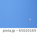 ジェブド カモメ 青空 65020169