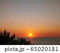 日没 65020181