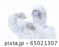 Chemist in laboratory checking test tubes. 65021307