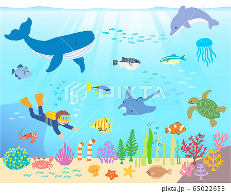 海の生き物 ダイバー 手描きのイラスト素材