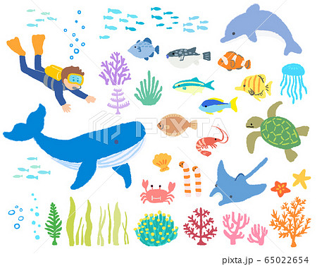 海の生き物 ダイバー２ 手描きのイラスト素材