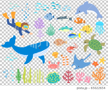 海の生き物_ダイバー２_手描き 65022654