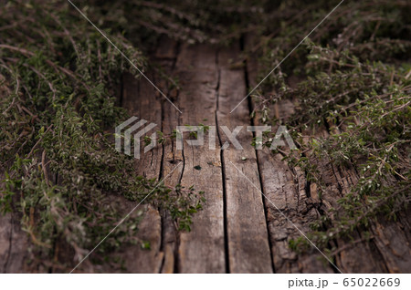 Background from the branches of thyme. Herbs. 65022669