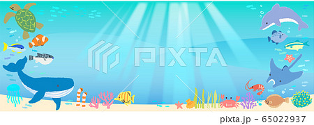 海_バナー_手描き2 海_バナー_手描き2 65022937