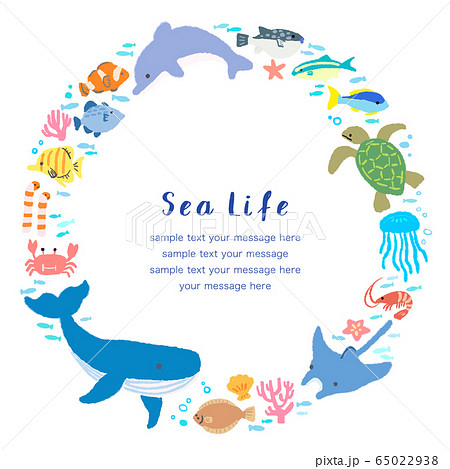 海の生き物 フレームのイラスト素材