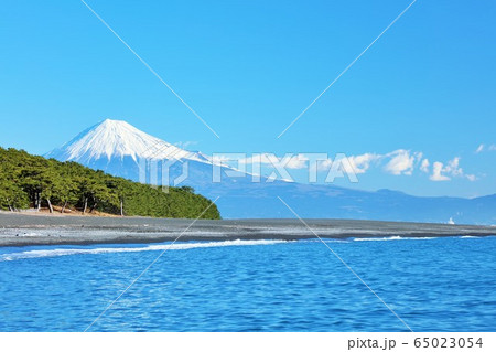 静岡県　三保の松原 65023054