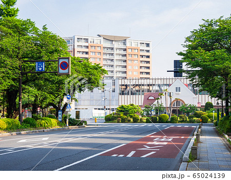 東京　復元された旧国立駅舎と大学通り 65024139