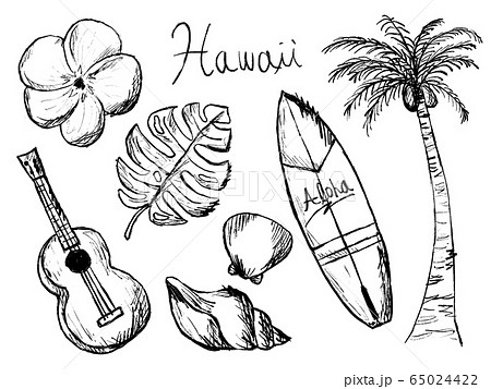 リゾートやハワイの白黒手描きイラストイメージのイラスト素材 65024422 Pixta
