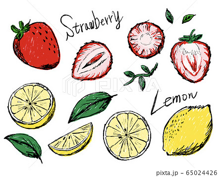 イチゴやレモンの手描きイラストイメージのイラスト素材