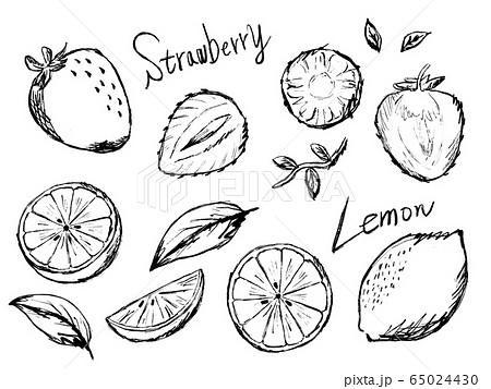 イチゴやレモンの白黒手描きイラストイメージのイラスト素材