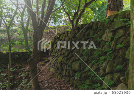 岡崎城 本丸石垣 岡崎城 本丸石垣 65025930