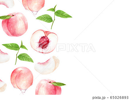 桃 柄 水彩イラストのイラスト素材