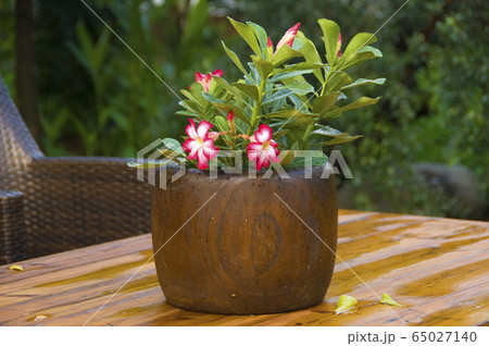 机 デスク テーブル 65027140