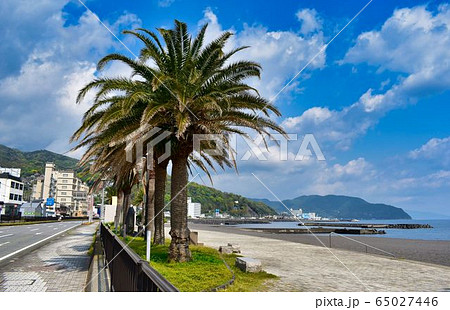 伊東オレンジビーチの海岸線の写真素材 65027446 Pixta