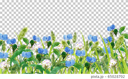 夏の野　水彩画 65028702