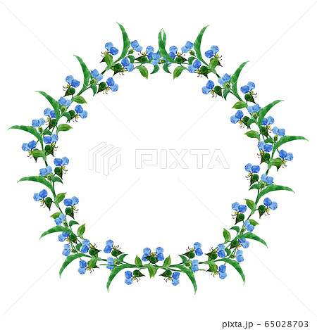 露草フレーム 65028703