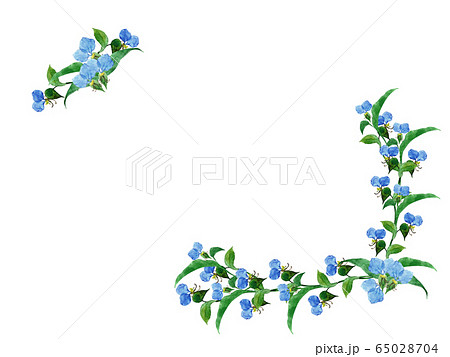 露草フレーム 65028704