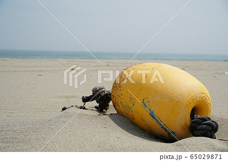 浮き玉01 浮き玉01 65029871