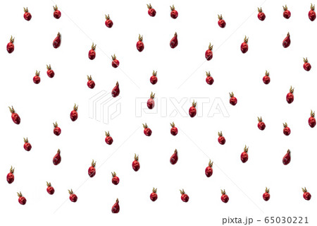 Pattern 65030221