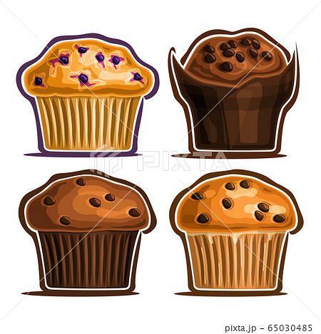 Vector Set of assorted Muffins Vector Set of assorted Muffins 65030485
