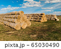Hay bales. Close-up of hay bales stacked in stacks. Harvesting in agriculture. 65030490