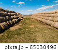 Sheaves of hay in a field in the sunshine 65030496