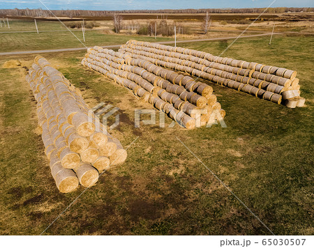 Rolls of haystacks on the field as agriculture harvest concept. 65030507