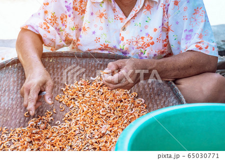 Close up to an eldery female fisherman use small knife to cut out unwanted parts of the shrimp, which is one step in making dried shrimp for sale. Close up to an eldery female fisherman use small knife to cut out unwanted parts of the shrimp, which is one step in making dried shrimp for sale. 65030771