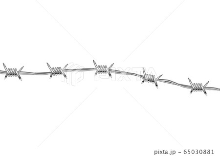 Glossy realistic barbed wire on white Glossy realistic barbed wire on white 65030881