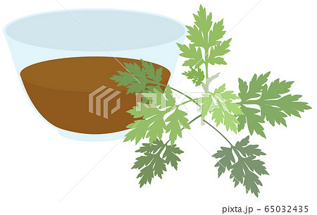 よもぎ茶のイラスト素材