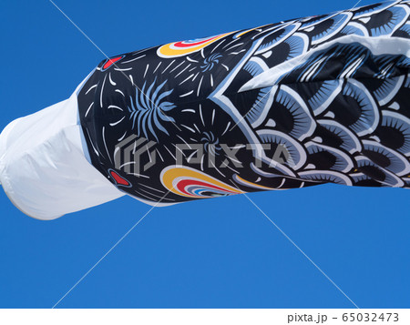 コイノボリ コイノボリ 65032473