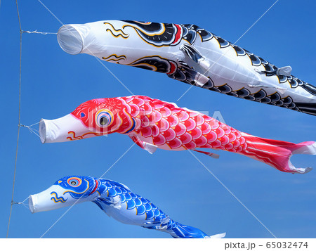 コイノボリ コイノボリ 65032474