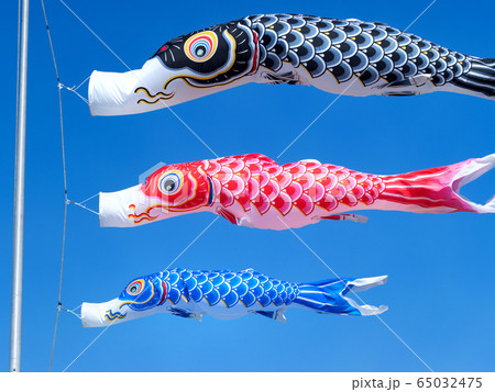 コイノボリ コイノボリ 65032475