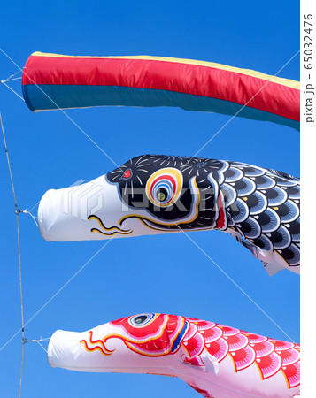 コイノボリ コイノボリ 65032476