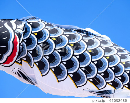 コイノボリ コイノボリ 65032486