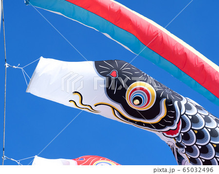 コイノボリ コイノボリ 65032496