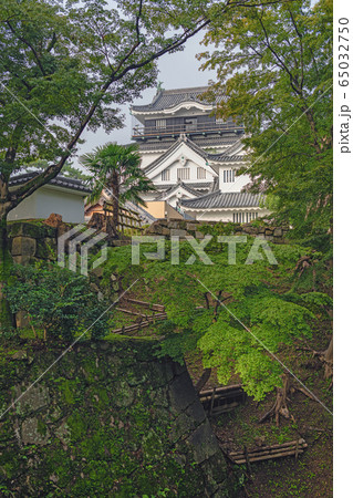 岡崎城の風景 65032750