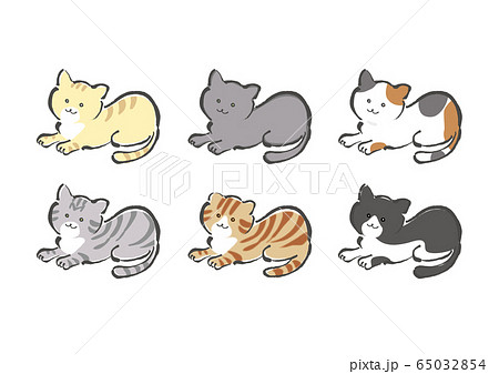 猫、ネコ、ねこ、品種、品種違い、色違い、集合、セット、トラ、トラ猫、ロシアンブルー、三毛猫、 65032854