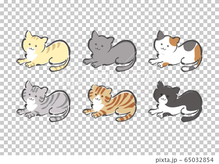 猫、ネコ、ねこ、品種、品種違い、色違い、集合、セット、トラ、トラ猫、ロシアンブルー、三毛猫、 65032854