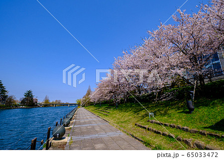 富山・桜満開の富岩運河 富山・桜満開の富岩運河 65033472