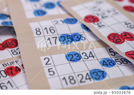 Playing bingo night Playing bingo night 65033676