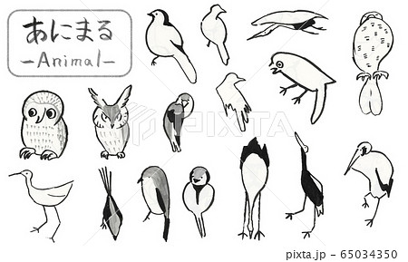 筆で描いた手描きの鳥たち 可愛い動物イラストのイラスト素材 65034350 Pixta