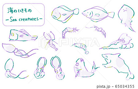 筆で描いた海の生き物たち 手描きの可愛い動物イラストのイラスト素材