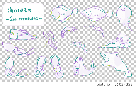 Sea creatures drawn by brush, hand drawn cute animal illustrations Sea creatures drawn by brush, hand drawn cute animal illustrations 65034355