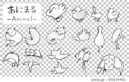 手繪鳥和貓，可愛的動物插圖用筆刷繪製 65034401